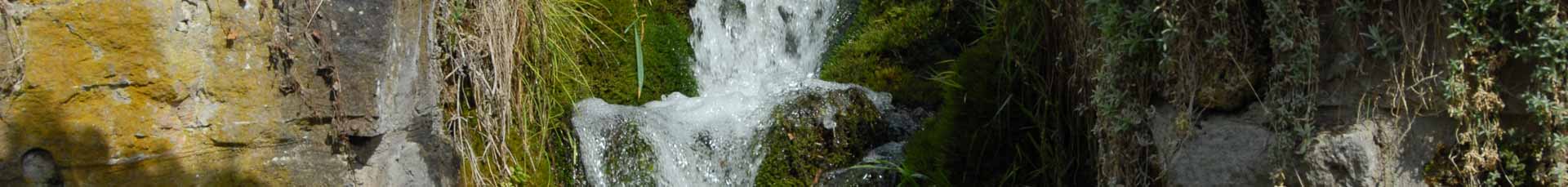 Praxis für klassische Homöopatie Martina Schäfer